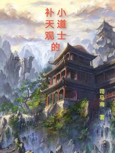 补天观的小道士
